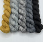 Load image into Gallery viewer, BFL Steel Sock - 5 minis - Grisaille ensoleillée
