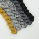 Load image into Gallery viewer, BFL Steel Sock - 5 minis - Grisaille ensoleillée
