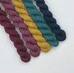 Load image into Gallery viewer, BFL Steel Sock - 5 minis - Pierres précieuses
